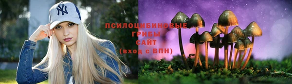 мяу мяу мука Алексеевка